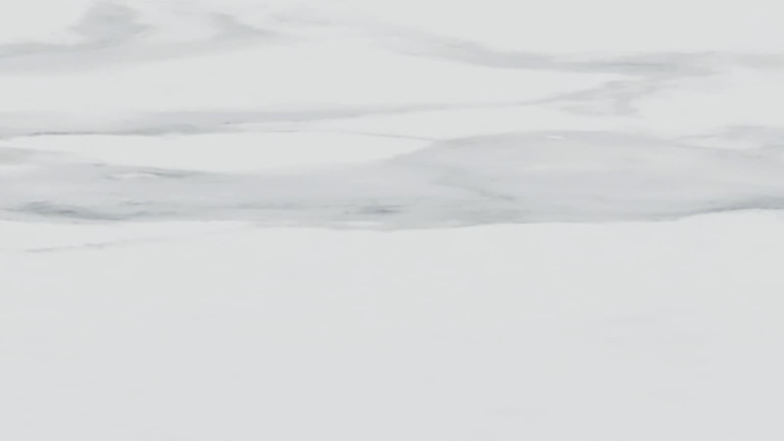 izgled mramora, bijela / mat izgled mramora, bijela / mat